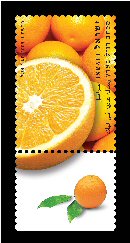 Stamp:Orange (Fruits of Israel - definitive stamps), designer:Meir Eshel 02/2009