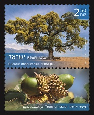 Trees of Israel Quercus ithaburensis Stamps