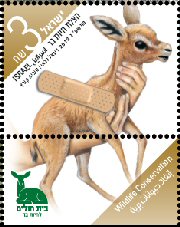 Stamp:Mountain Gazelle Fawn (Wildlife Conservation), designer:Igal Gabai & Tuvia Kurtz 12/2012