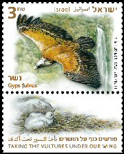 Stamp:Griffon Vulture  (Taking The Vultures under our Wing), designer:Zvika Roitman & Tuvia Kurtz 04/2013