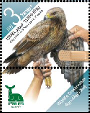 Stamp:Imperial Eagle (Wildlife Conservation), designer:Igal Gabai & Tuvia Kurtz 12/2012