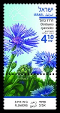 Centaurea cyanoides Stamp Sheet