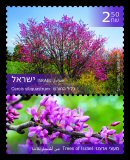 Stamp:Cercis  siliquastrum (Trees of Israel), designer:Miri Nistor 12/2018