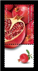Stamp:Pomegranate (Fruits of Israel - definitive stamps), designer:Meir Eshel 02/2009