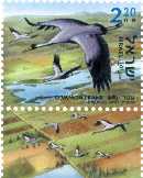 Stamp:Common Crane (Grus Grus) (Birds of the Jordan Valley), designer:Tuvia Kurtz 08/2002