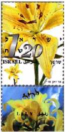 Stamp:Lily (Flowers), designer:Ad Vanooijen 02/2002