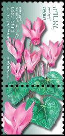 Stamp:Cyclamen Persicum (Flowers (definitive series)), designer:Yigal Gabay, Tuvia Kurtz 04/2008