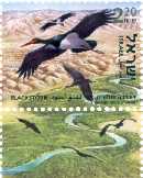 Stamp:Black Stork (Ciconia Nigra) (Birds of the Jordan Valley), designer:Tuvia Kurtz 08/2002