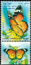 Stamp:Butterflies of Israel, designer:Tuvia Kurtz, Miri Nistor 04/2011