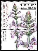 Stamp:Three Loabed Sage (Medicinal Herbs and Spices), designer:Yigal Gabay, Tuvia Kurz 09/2008