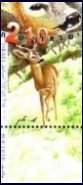 Stamp:Roe Deer (Wild Animals in Israel), designer:Amir Balaban 03/2001