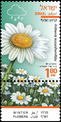 Stamp:Coast False-Chamomile (Winter Flowers), designer:Tuvia Kurtz, Ronen Goldberg 02/2015