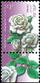 Stamp:Rose (Flowers (definitive series)), designer:Yigal Gabay, Tuvia Kurtz 04/2008