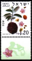 Stamp:Shevat (The Months of the Year), designer:Miri Sofer 02/2002