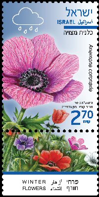 Stamp:Crown Anemone (Winter Flowers), designer:Tuvia Kurtz, Ronen Goldberg 02/2015